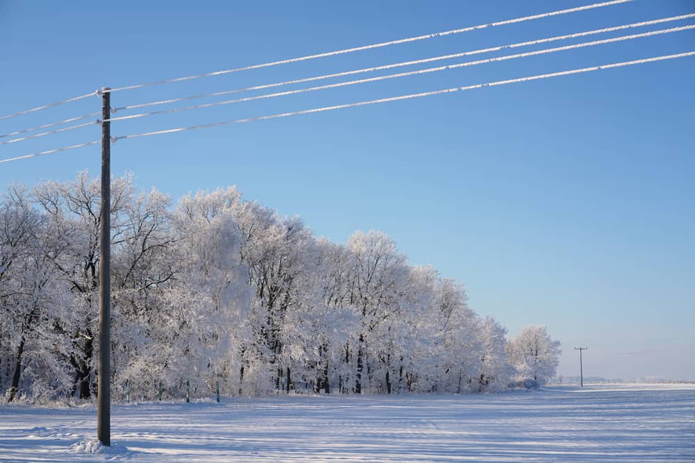 winter pole line